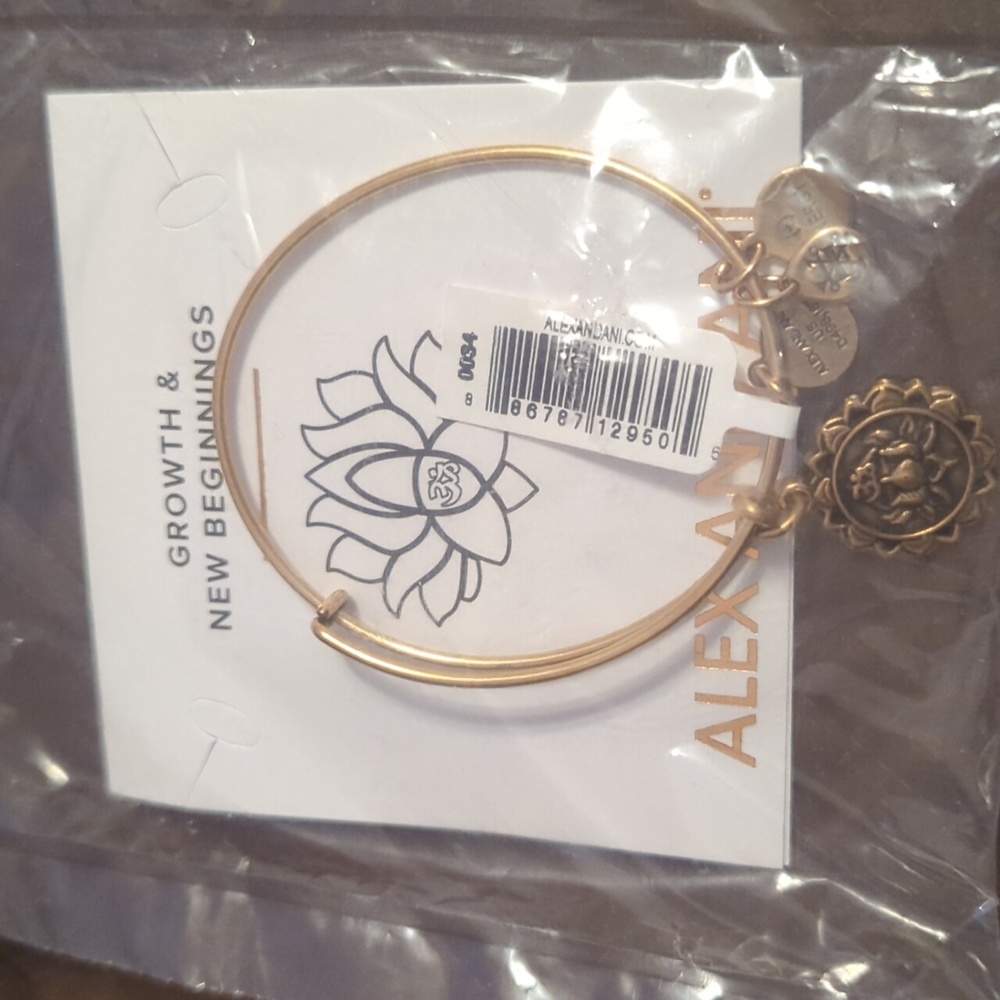 NWT Bulk Set of Alex And Ani Bracelets and Accessories - Picture 3 of 8